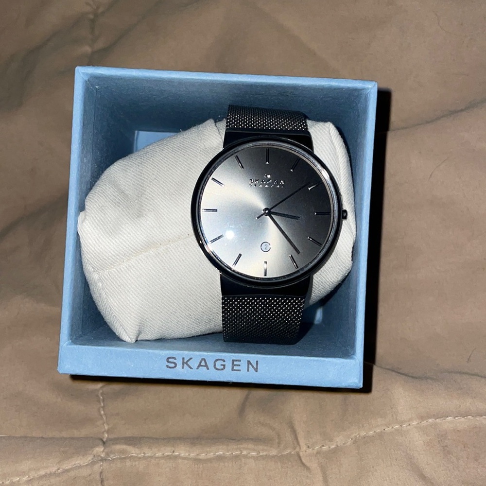 Skagen Stainless Steel Watch